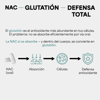 Genfinity N-Acetil Cisteína (NAC) 1,000 mg por Dosis, 180 Cápsulas, Pureza ≥98% Grado Clínico, Suplemento Alimenticio