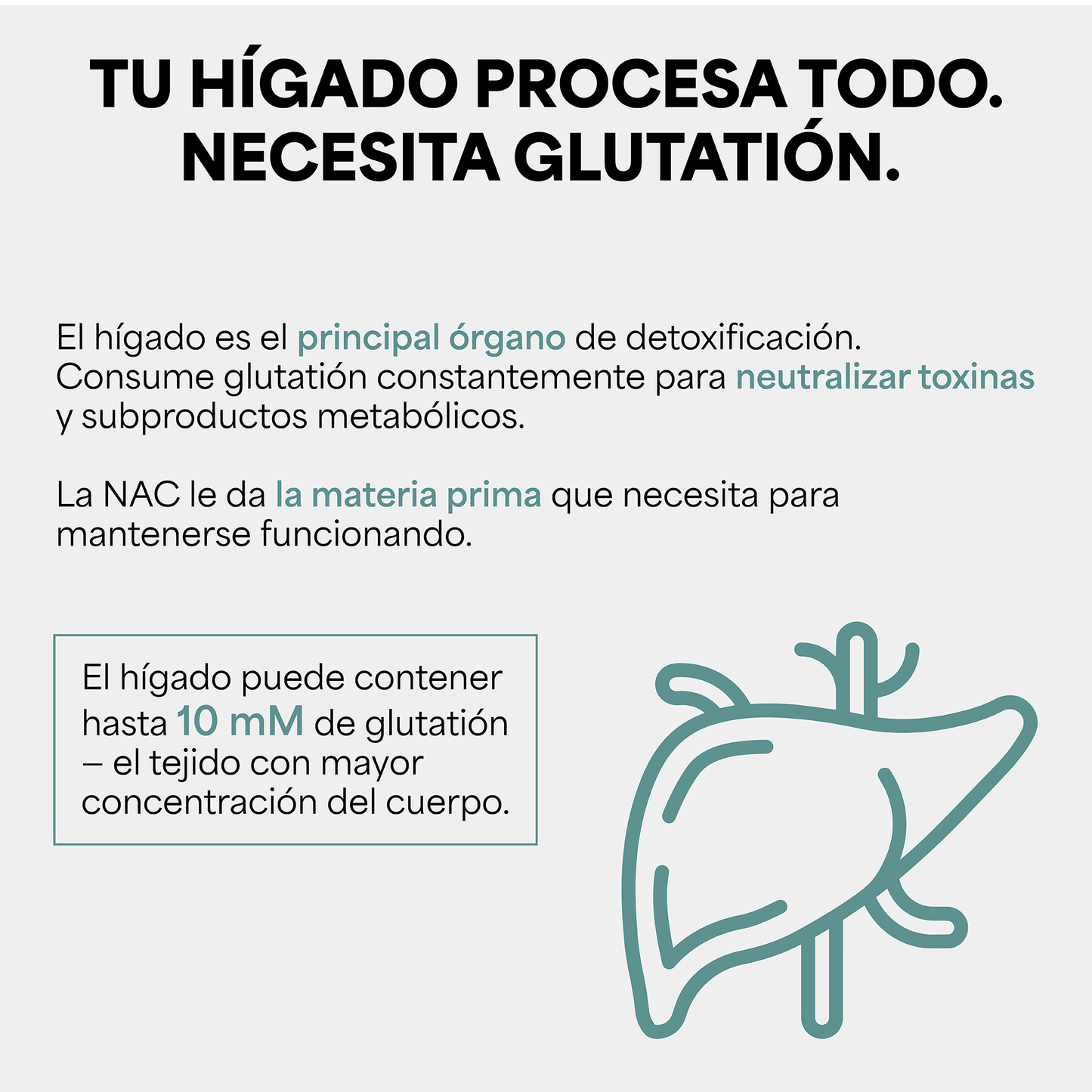 Genfinity N-Acetil Cisteína (NAC) 1,000 mg por Dosis, 180 Cápsulas, Pureza ≥98% Grado Clínico, Suplemento Alimenticio