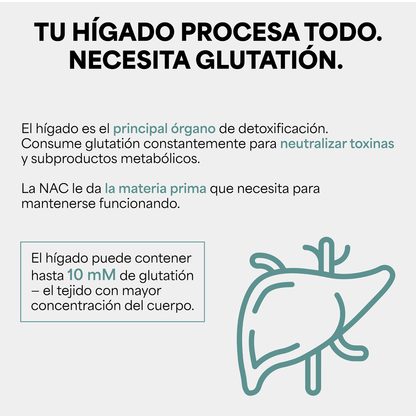 Genfinity N-Acetil Cisteína (NAC) 1,000 mg por Dosis, 180 Cápsulas, Pureza ≥98% Grado Clínico, Suplemento Alimenticio