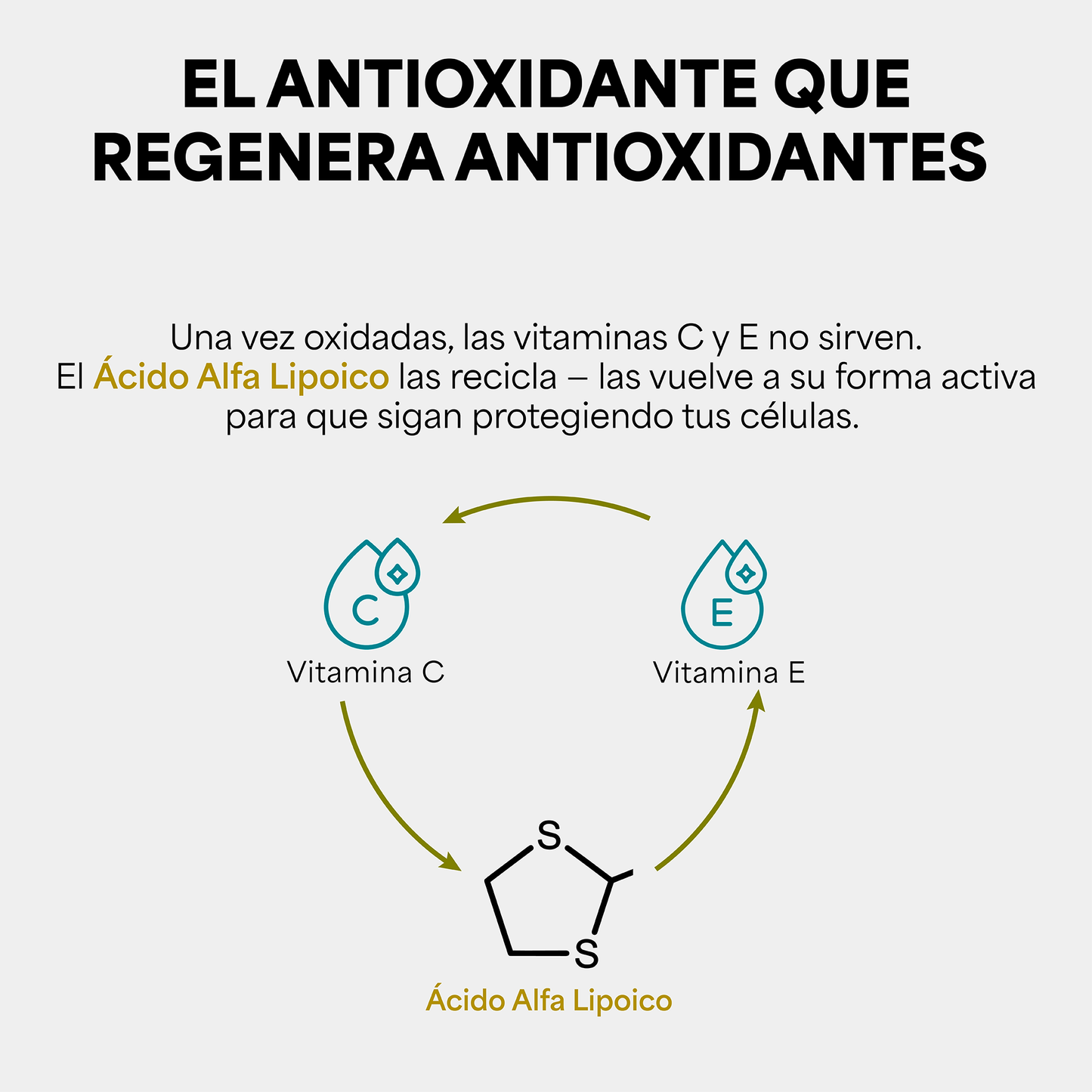 Genfinity Ácido Alfa Lipoico (ALA) 1,200 mg por Dosis, 120 Cápsulas, Pureza ≥98% Grado Clínico, Suplemento Alimenticio