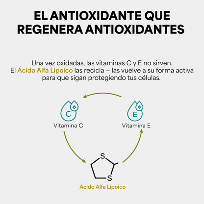 Genfinity Ácido Alfa Lipoico (ALA) 1,200 mg por Dosis, 120 Cápsulas, Pureza ≥98% Grado Clínico, Suplemento Alimenticio