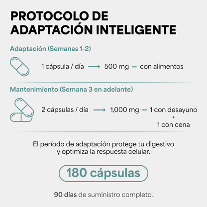 Genfinity N-Acetil Cisteína (NAC) 1,000 mg por Dosis, 180 Cápsulas, Pureza ≥98% Grado Clínico, Suplemento Alimenticio